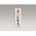Fables & Flowers™ фреска на 3-х плитках, красный тюльпан