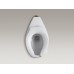 Highcliff™ 1.6 gpf 17-1/2" ADA elongated toilet bowl with rear inlet