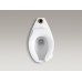 Highcliff™ 1.6 gpf 17-1/2" ADA elongated toilet bowl with top inlet and 4 bolt holes in base