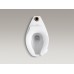 Highcliff™ 1.6 gpf 17-1/2" ADA elongated toilet bowl with top inlet and bedpan lugs